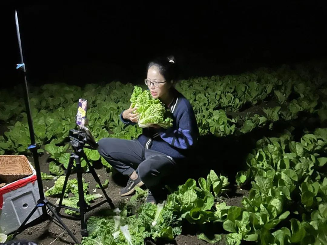 菜地里的直播間：修文縣新寨村的“云端”致富路